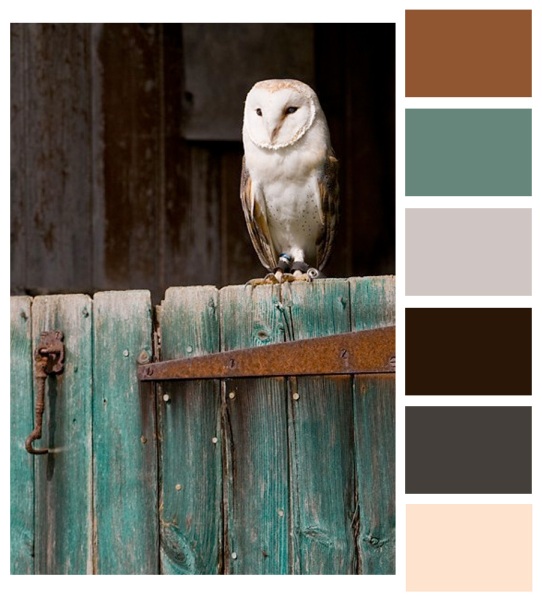 another color palette 