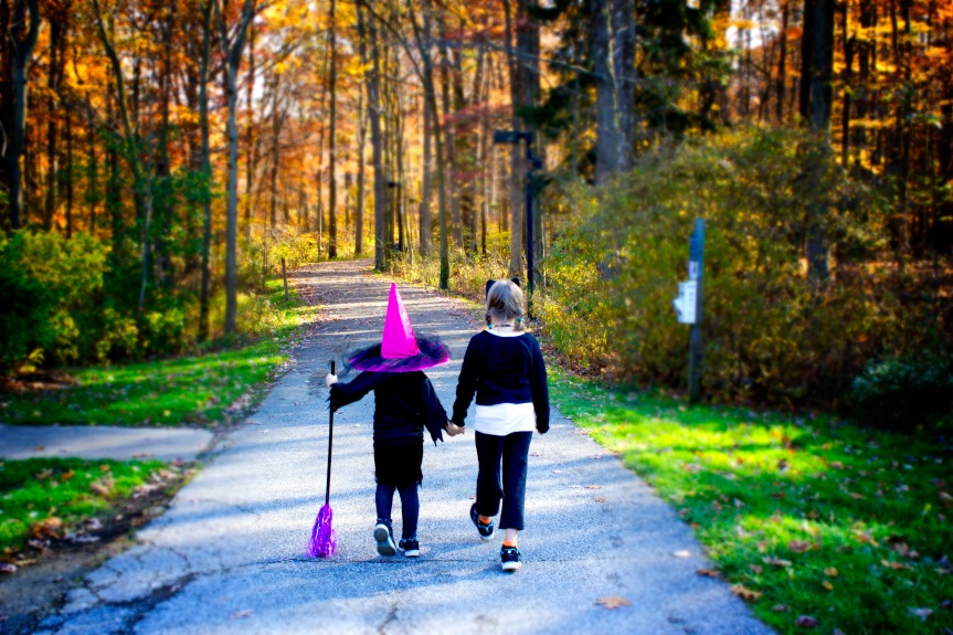 cat and witch walking