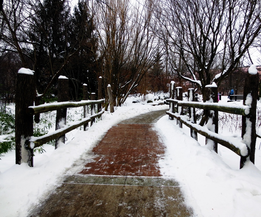A Winter Walk